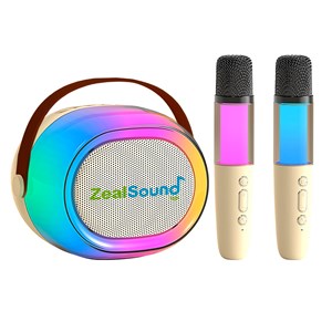 Enceinte sans fil pour karaoké avec deux microphones. Bluetooth 5.3.