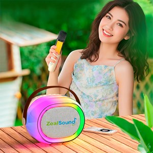 Enceinte sans fil pour karaoké avec deux microphones. Bluetooth 5.3.