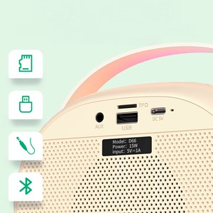 Enceinte sans fil pour karaoké avec deux microphones. Bluetooth 5.3.