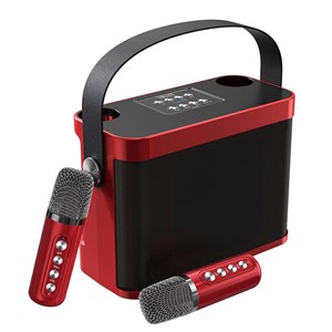 Kit de karaoke avec haut-parleur bluetooth et 2 microphones. 10w.