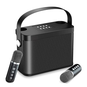 Kit de karaoké avec haut-parleur bluetooth et 2 microphones. 10w.