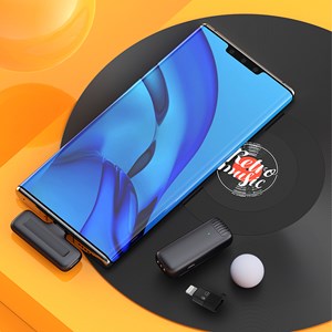 Microphone sans fil portable j11 clip. Inclut micro et récepteur.