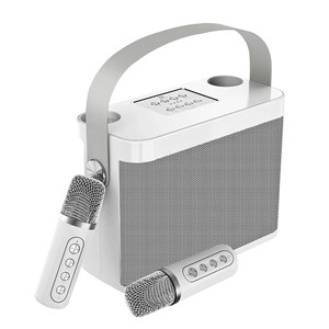 Kit de karaoke avec enceinte bluetooth et 2 microphones. 10w, batterie intégrée.