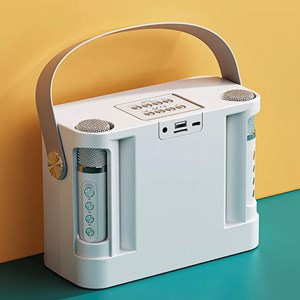 Kit de karaoke avec enceinte bluetooth et 2 microphones. 10w, batterie intégrée.