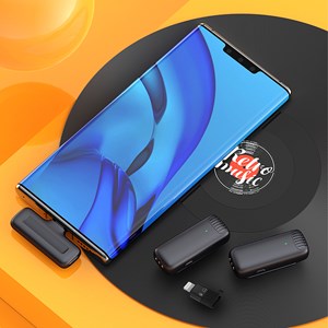 Microphone sans fil portable j13 clip. Inclut 2 micros et 1 récepteur.