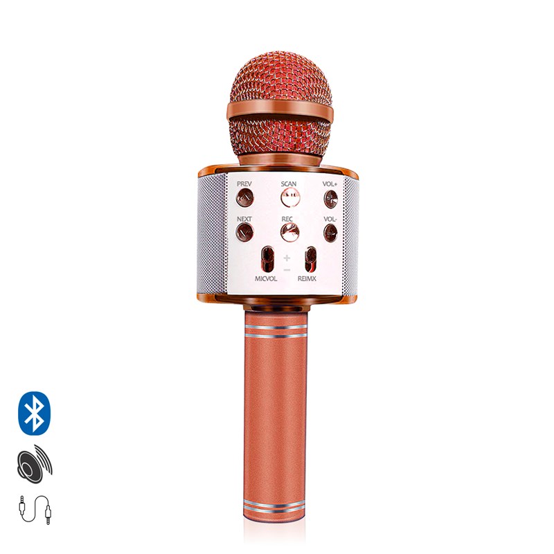 Microphone karaoke multifonction avec haut-parleur intégré
