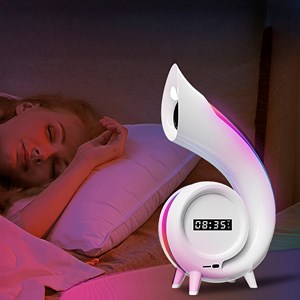 Enceinte coquillage 6 en 1 avec lumière d'ambiance unique avec 256 modes.