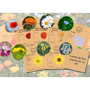 Lot de graines de fleur anti-gaspi