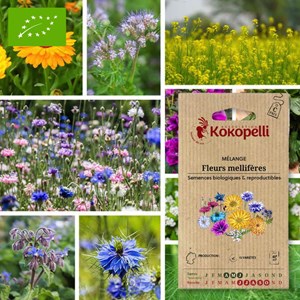 Mélange fleurs mellifères- graines bio à
