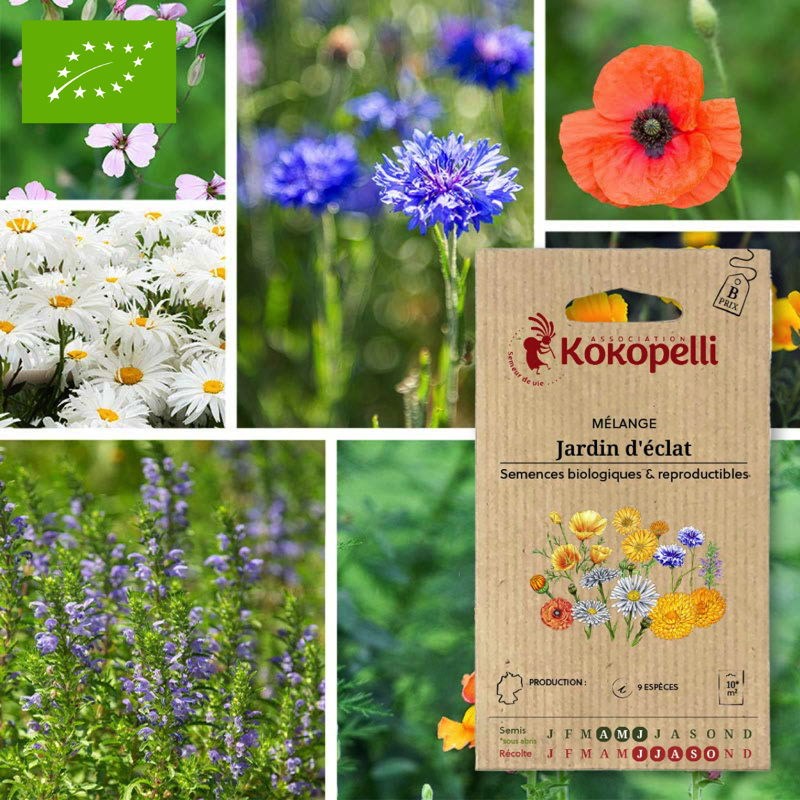 Mélange jardin d'éclat- graines bio à se