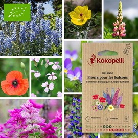 Mélange fleurs pour les balcons- graines