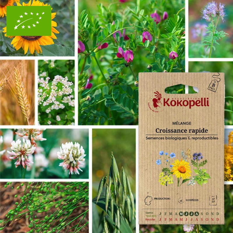 Mélange croissance rapide- graines bio à