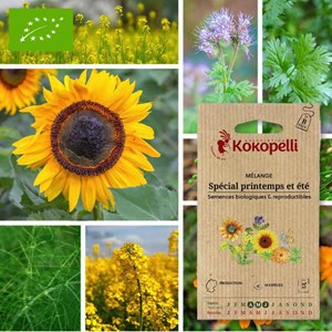 Mélange spécial printemps et été- graine