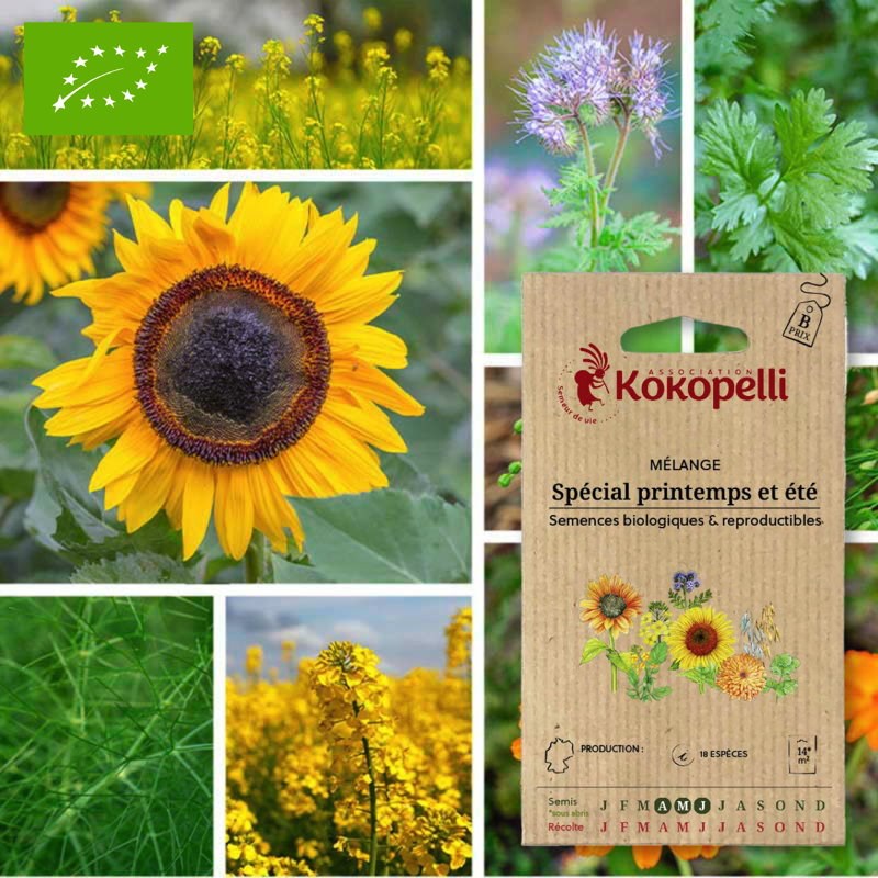 Mélange spécial printemps et été- graine