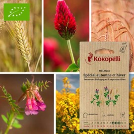 Mélange spécial automne et hiver- graine