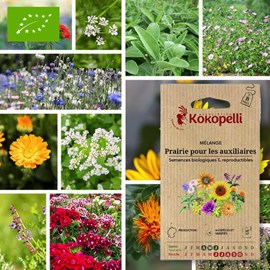 Mélange prairie pour les auxiliaires- gr