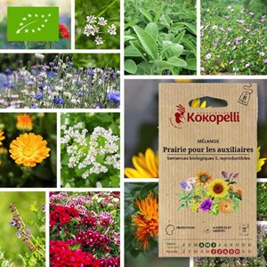 Mélange prairie pour les auxiliaires- gr