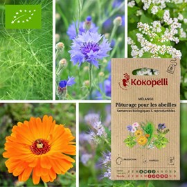Mélange pâturage pour les abeilles- grai