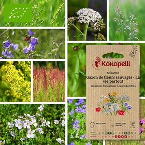 Mélange gazon de fleurs sauvaiges la vie