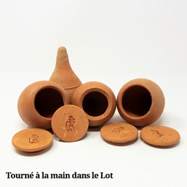 4 oyas à planter 0,3l