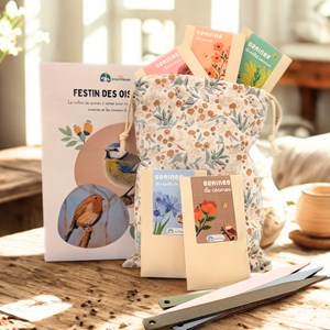 Coffret festin des oiseaux