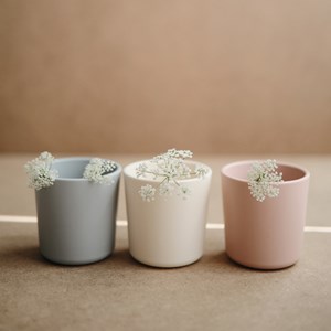 Lot de 2 gobelets ivory