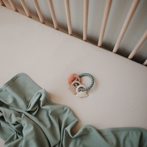 Jouet de dentition ring dino