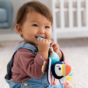 Doudou dentition macareux