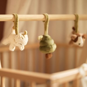 Lot de 3 jouets pour arche d'éveil tiny park