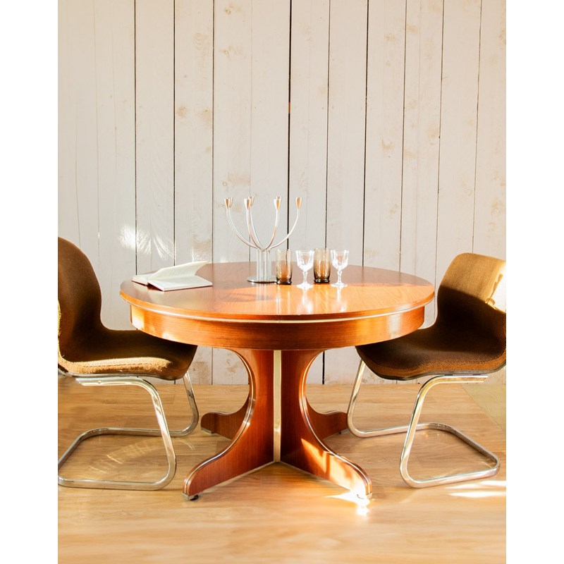 Table à manger en bois papillon n°1039