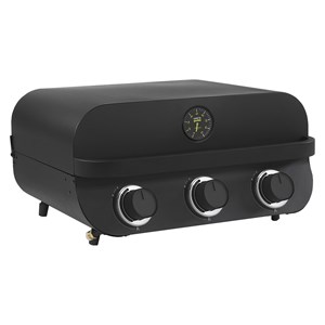 Barbecue gaz flavo 60 à poser