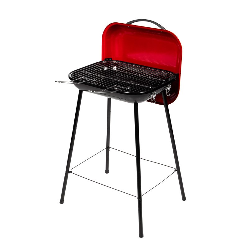 Barbecue holiday grill