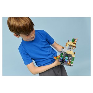 Lego® minecraft? 21587
