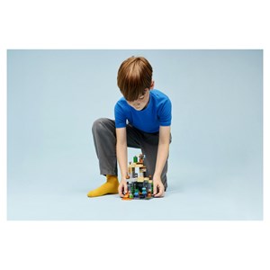 Lego® minecraft? 21587