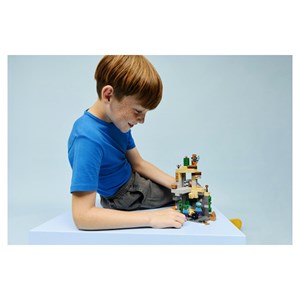Lego® minecraft? 21587