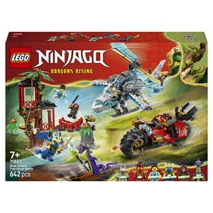 Lego® ninjago? 71857