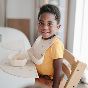 Set de table en silicone dinosaure