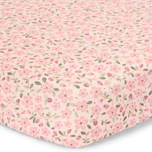 Drap housse