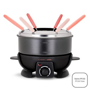 Appareil à fondue pour 6 personnes 650w