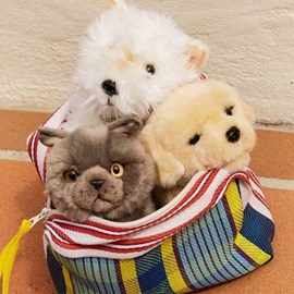 Peluche freddy le brittish shorthair assis (17 cm)