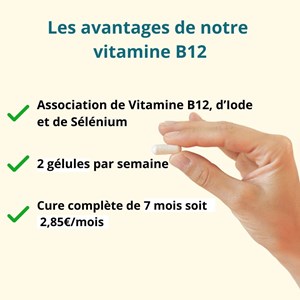 Vitamine b12 + iode et sélénium - énergie et système nerveux