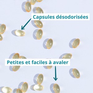 Oméga 3 dha d'algues - système nerveux et circulation