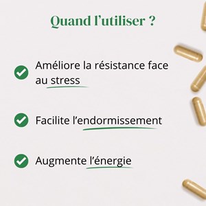 Ashwagandha + magnésium et tryptophane