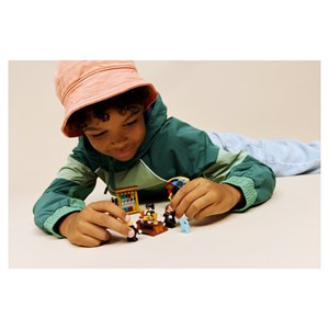 Lego®  harry potter? 76460