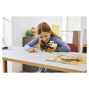 Lego® minecraft? 21585