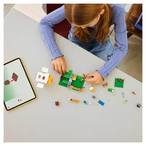 Lego® minecraft? 21585