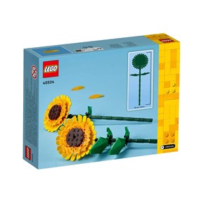 Lego® art 40524