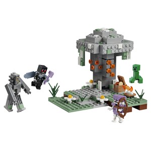 Lego® minecraft? 21586