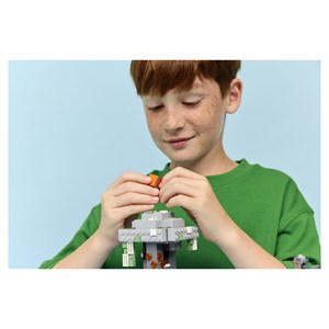 Lego® minecraft? 21586