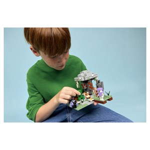 Lego® minecraft? 21586
